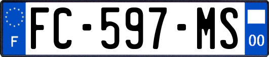 FC-597-MS