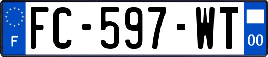 FC-597-WT