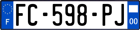 FC-598-PJ