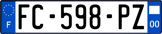 FC-598-PZ