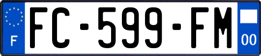 FC-599-FM