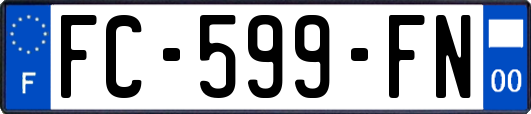 FC-599-FN