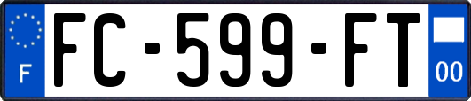 FC-599-FT