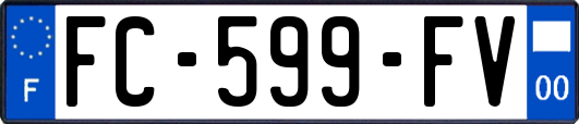 FC-599-FV