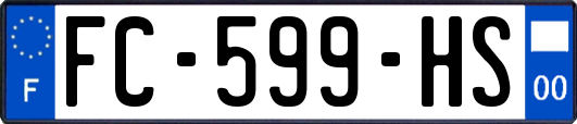 FC-599-HS