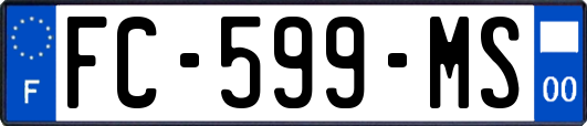 FC-599-MS