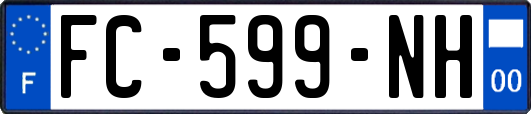FC-599-NH
