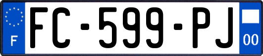 FC-599-PJ