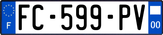 FC-599-PV