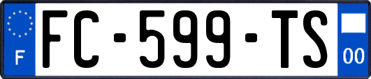 FC-599-TS