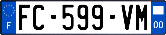 FC-599-VM