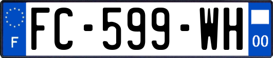 FC-599-WH