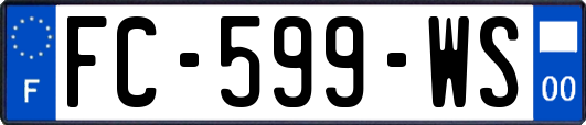 FC-599-WS