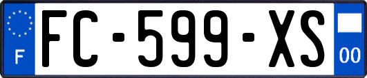 FC-599-XS