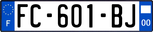 FC-601-BJ