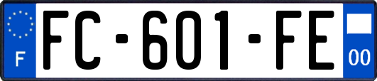 FC-601-FE