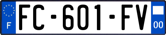 FC-601-FV