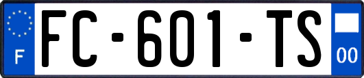 FC-601-TS