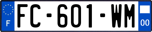 FC-601-WM