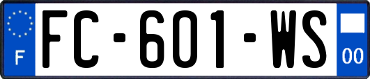 FC-601-WS