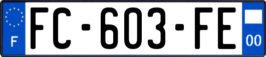 FC-603-FE