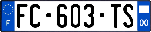 FC-603-TS