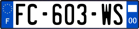 FC-603-WS