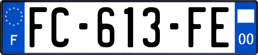 FC-613-FE