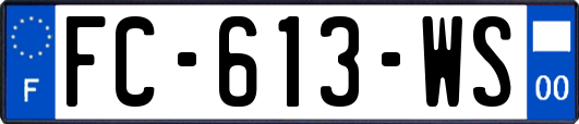 FC-613-WS