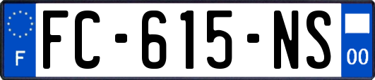 FC-615-NS