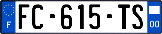 FC-615-TS