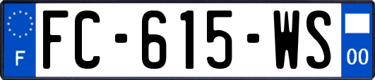 FC-615-WS
