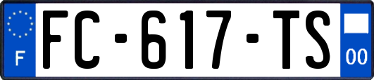 FC-617-TS