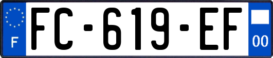 FC-619-EF
