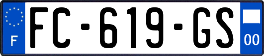 FC-619-GS