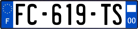 FC-619-TS