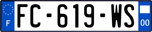 FC-619-WS
