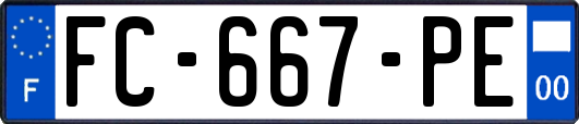 FC-667-PE