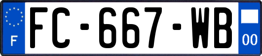 FC-667-WB