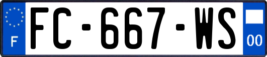 FC-667-WS