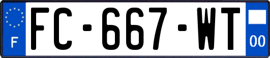 FC-667-WT