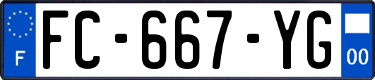 FC-667-YG