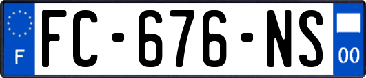 FC-676-NS
