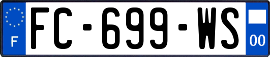 FC-699-WS