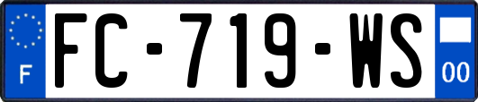 FC-719-WS