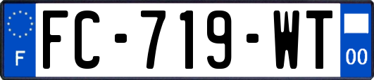 FC-719-WT