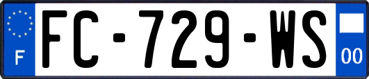 FC-729-WS