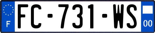 FC-731-WS