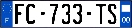 FC-733-TS