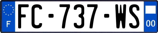 FC-737-WS